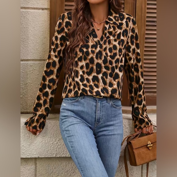 Pullover Leopard Print Long-Sleeved V-Neck Blouses - Picture 3 of 5